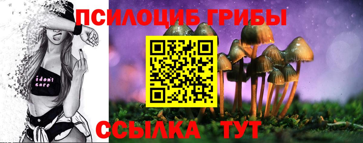 Псилоцибиновые грибы прущие грибы  Вход с VPN  Томск 